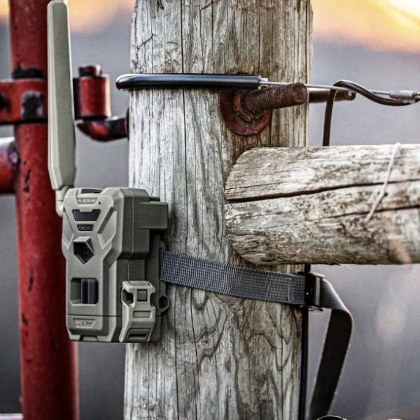 SPYPOINT FLEX-M Wildkamera am Zaunpfahl montiert im Freien
