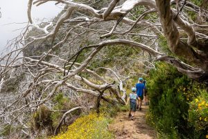 Mehr über den Artikel erfahren Natur entdecken mit Kindern: 12 Outdoor-Abenteuer, die wirklich begeistern