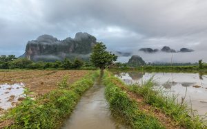 Mehr über den Artikel erfahren Wasserfilter im Vergleich: Sawyer, LifeStraw, Katadyn & Co. – welcher passt zu dir?